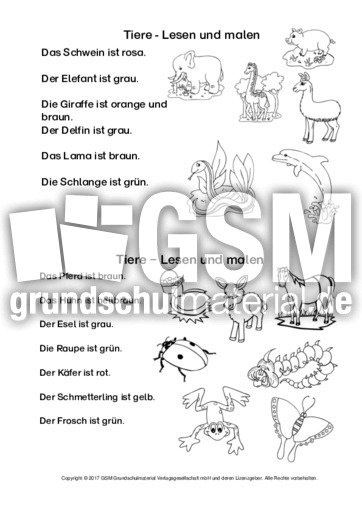 AB-Tiere-lesen-und-malen.pdf